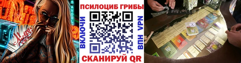 дарнет шоп  Пенза  Псилоцибиновые грибы прущие грибы 